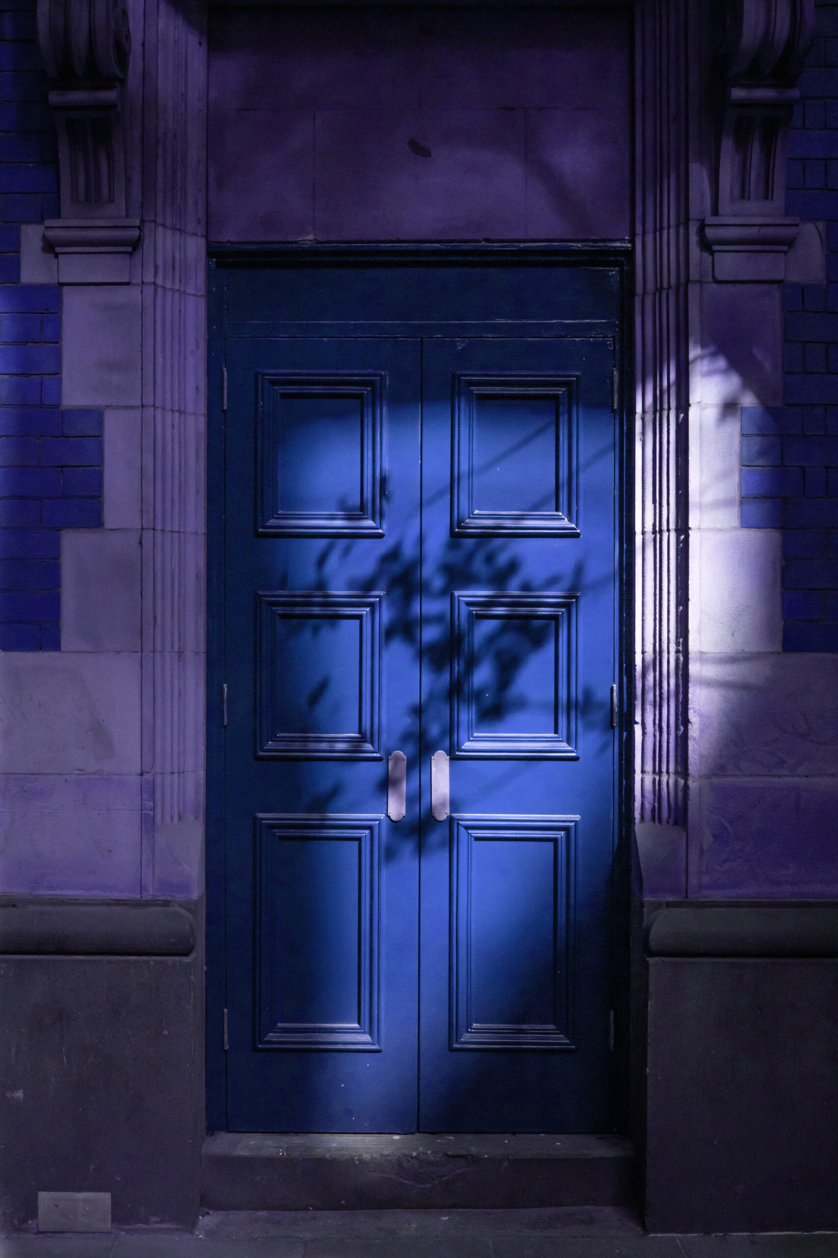 mitchell-luo-Pgy0tCrwi08-unsplash